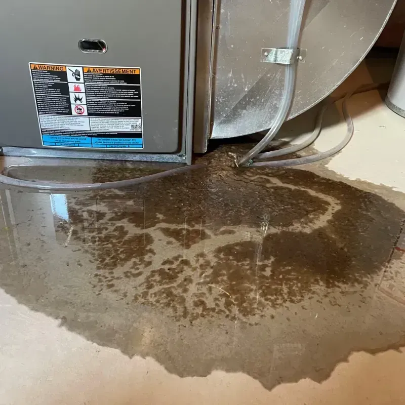 Appliance Leak Cleanup in Desert Hot Springs, CA